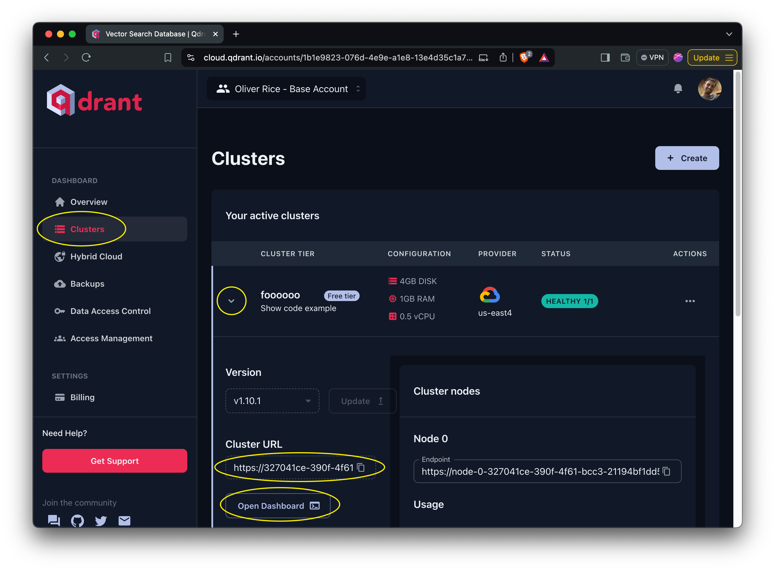 Qdrant cluster url